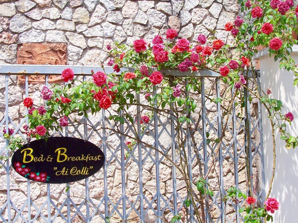 Ai Colli B&B Salo Room photo